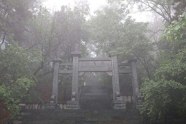 �����е��������Ʒ�