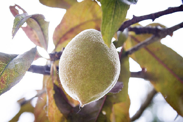 ���ӹ���