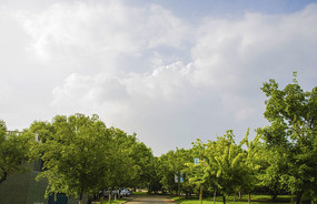 ��ɽ���ɽ�Ͽ��������