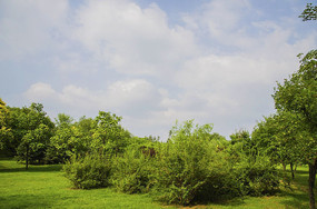 ��ɽ���ɽ�Ͽ��������