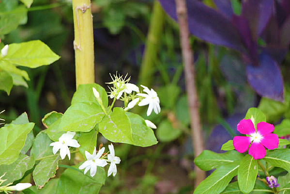 �׻��컨������