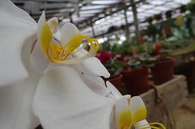 ���ҵ�����