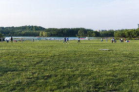 �ݵ�����