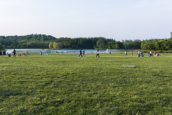 �ݵ�����