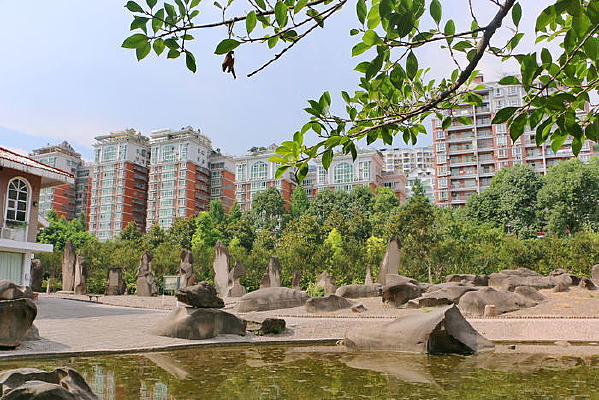 ���н���