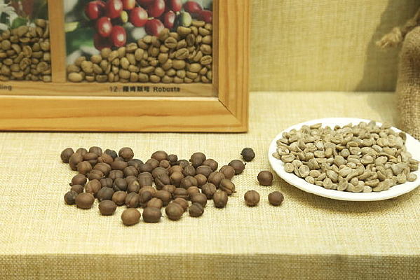 ���޿��ȶ�