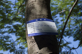 ���ľ������