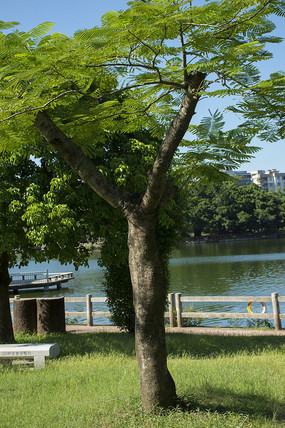 �����ֵķ��ľ