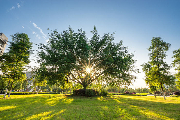 �ƹ�����â