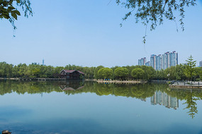 ���߷羰������