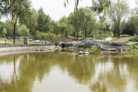 ����С��