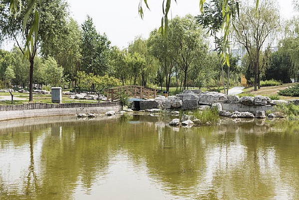 ����С��