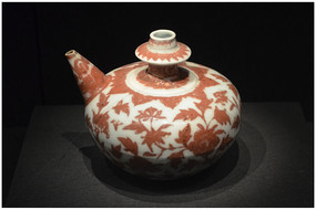 ������ϲ�ֲ��ĵ����ˮϴ