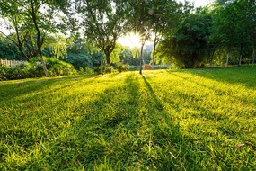 �������ֹ�Ӱ