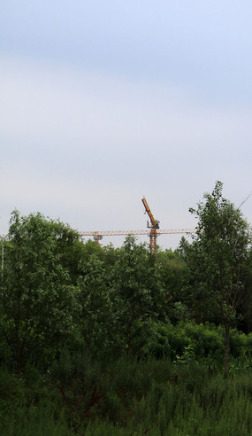 С�����е�����