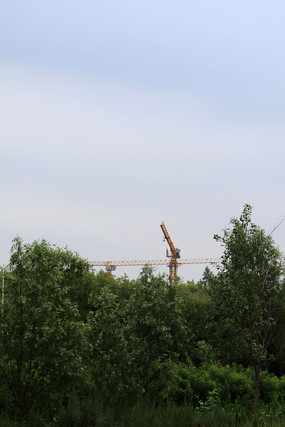 С�����е�����