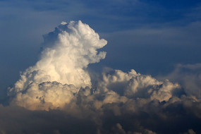 ����״����