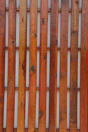 դ������