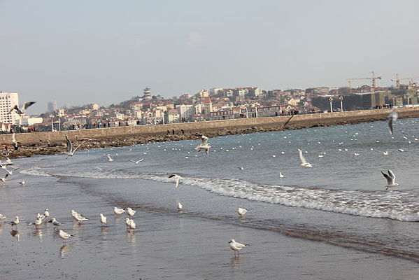 ջ�ź���ͼƬ