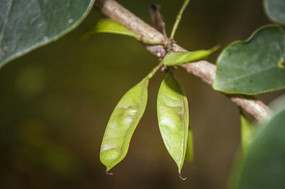 ֦���ϵĶ���