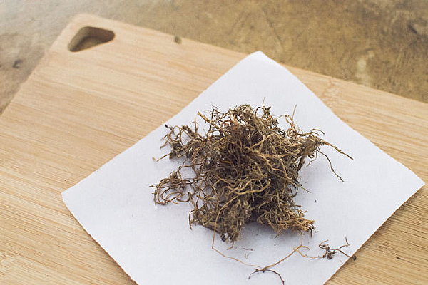 ��ҩ�׻��߳��