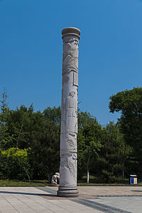 ˸