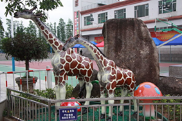 ����¹����