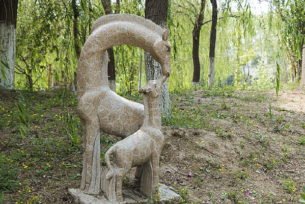 ����¹ĸ��