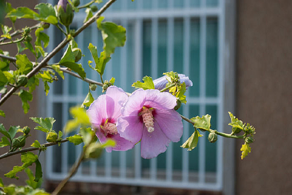 ����ľ�Ȼ�