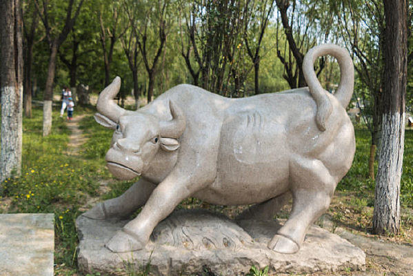 ��ţʯ��Զ��