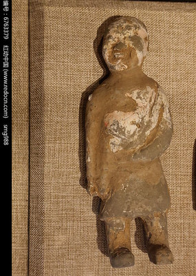 ����վ����������ٸ