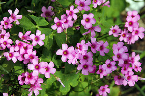 �컨�m���ݻ�