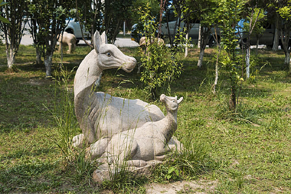 ��¹ĸ��Զ��