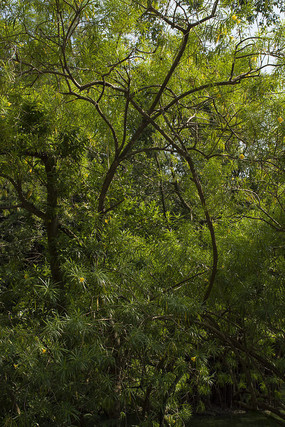 ï�������еļ�����