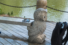 èͷӥʯ��Զ��