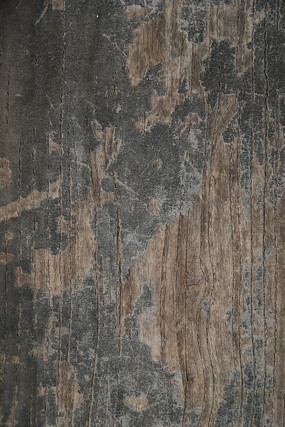 ľ����������������