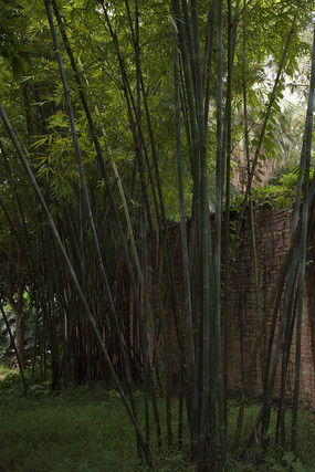 Χǽ�Աߵ�С����