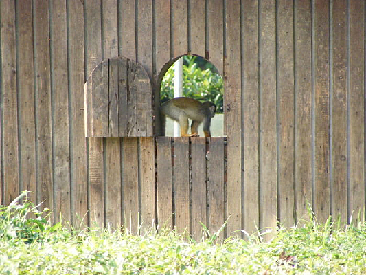 С������ˣ