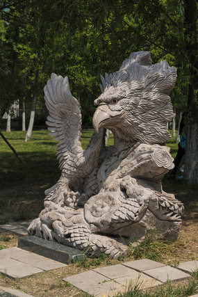 ��ӥĸ��ʯ��