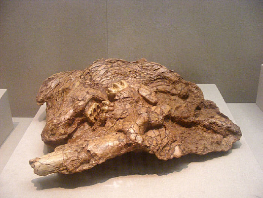 ����ʯ��