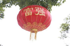 ӡŸǿֵĺ