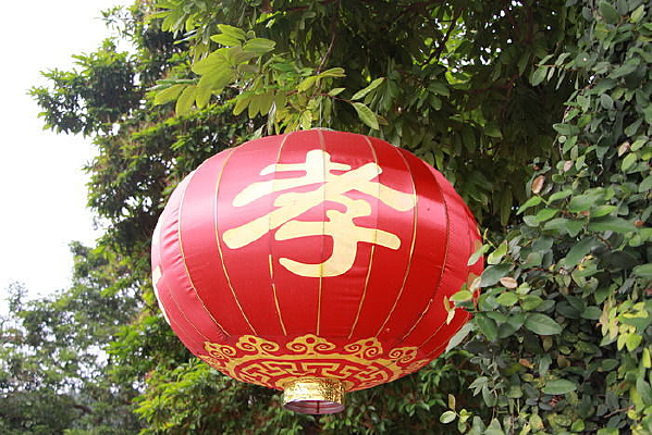 ӡ��Т�ֵĺ����