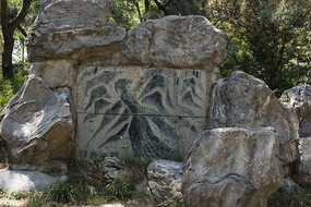 ��������赿�