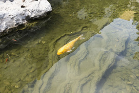 �������������