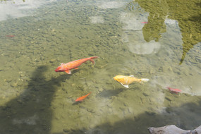 ����������д