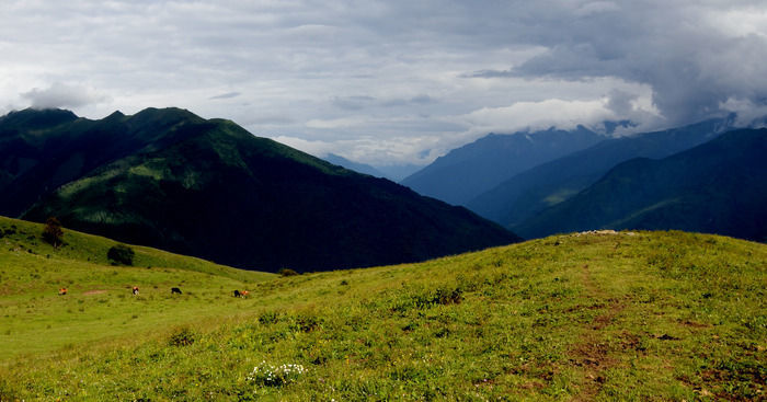 ��ԭ����