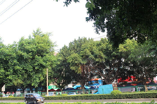 ��·�ߵ��̻���