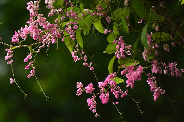 ��������羰��Ƭ