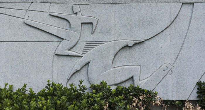 ��ѩ����