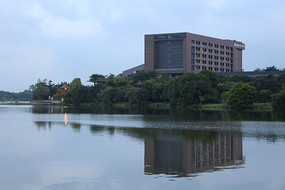 ������Ӱ